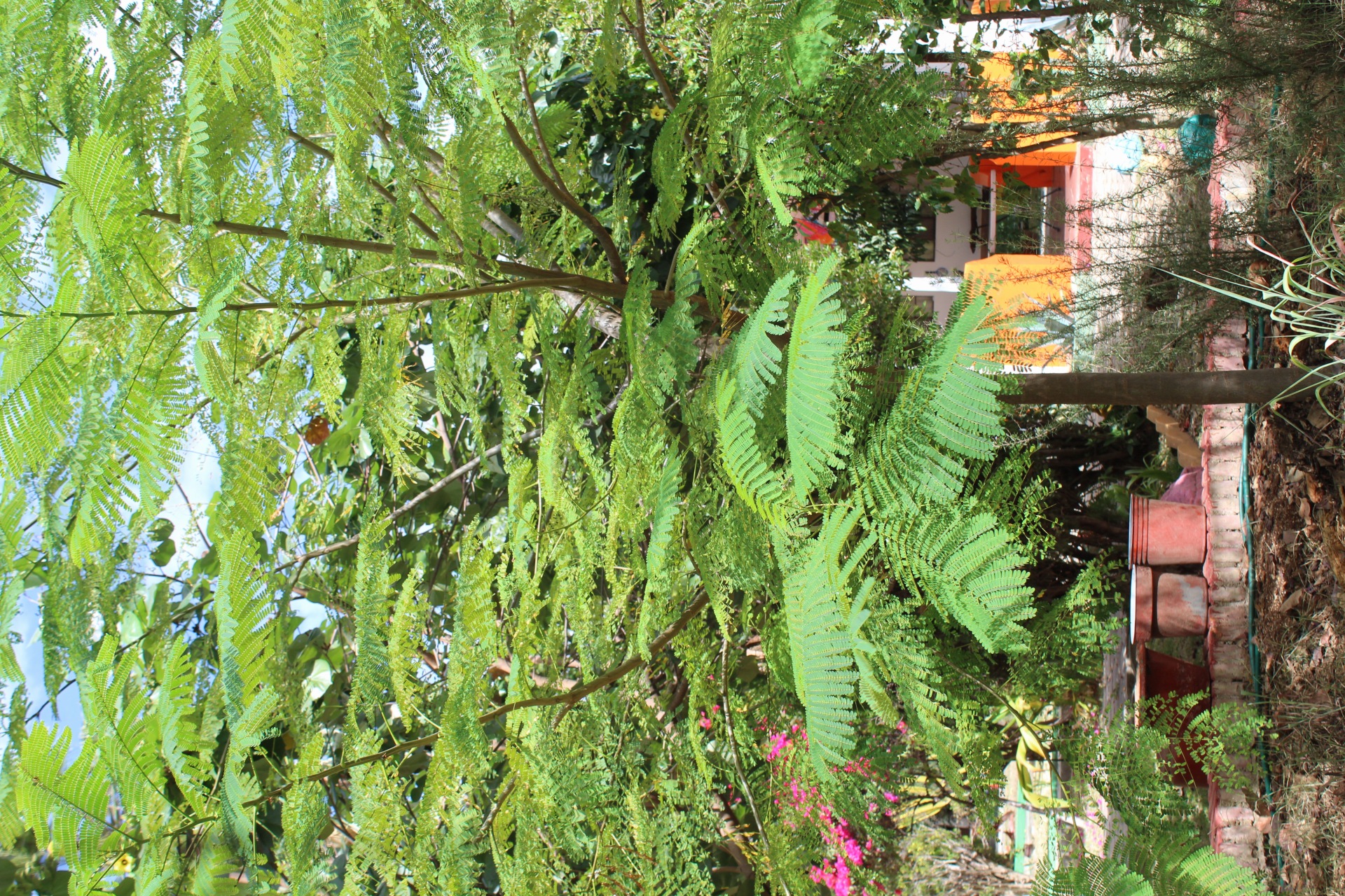 Jardines