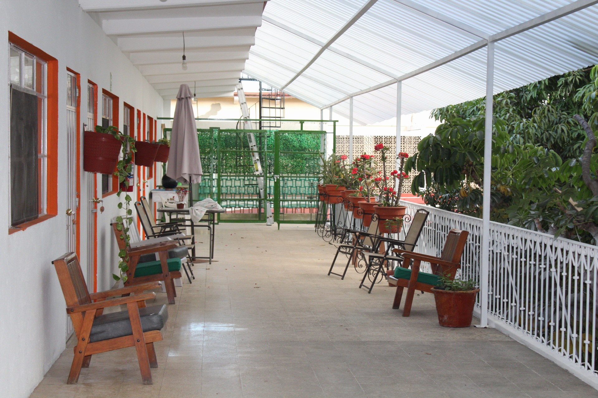 Terraza 4